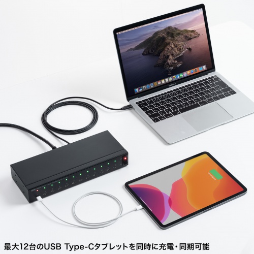 Type-C 12ポートハブ（USB2.0・セルフパワー・エコモード搭載・同期・デイジーチェーン・充電・約1.8m・スマホ・タブレット・ブラック）