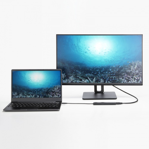 USB-C ハブ（6-in-1・HDMI・4K30Hz・映像出力・USB-Cポート搭載・USB 5Gbps・USB-Aポート搭載・カードリーダー・ブラック）