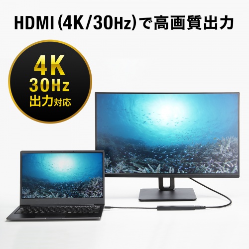 USB-C ハブ（6-in-1・HDMI・4K30Hz・映像出力・USB-Cポート搭載・USB 5Gbps・USB-Aポート搭載・カードリーダー・ブラック）