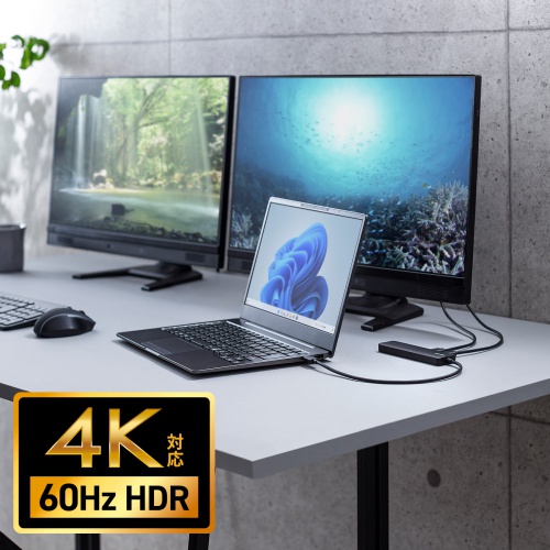 ドッキングステーション（Type-C 接続・5 in 1・HDMI2つ・2画面出力・4K/60Hz対応・PD100W・スリム・コンパクト・USB A 2つ・ケーブル長30cm）