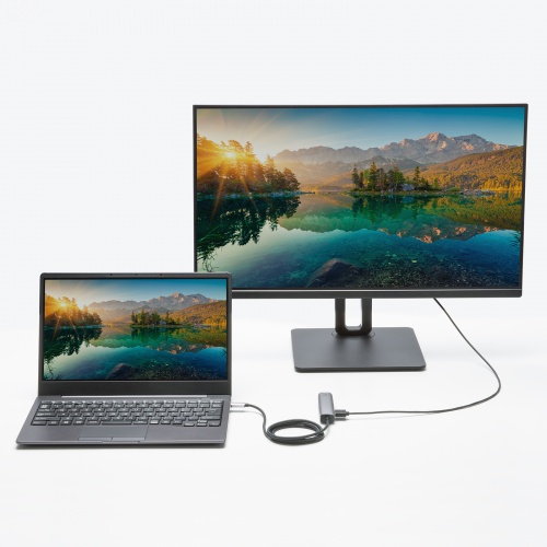 USB Type-Cドッキングハブ（スリム・HDMI映像出力・USB A×1・USB-C×1・LAN・PD100W対応・放熱構造・100cm）