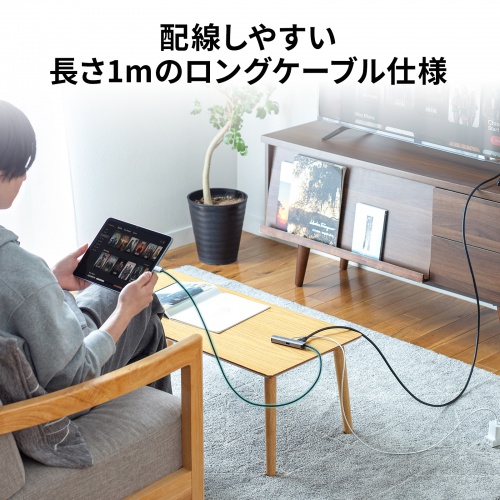 USB Type-Cドッキングハブ（スリム・HDMI映像出力・USB A×1・USB-C×1・LAN・PD100W対応・放熱構造・100cm）