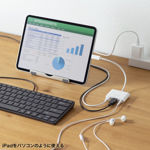 USB Type-Cハブ（USB Type-C・USB Aポート・USB5Gbps(3.2 Gen1)対応・USB PD100W・3.5mm・ DAC搭載）
