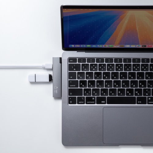 USBハブ（USB-C接続・4-in-1・直挿し・薄型・スリム・カードリーダー付き・USB 5Gbps・Type-C・PD100W・コンパクト）