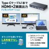 ドッキングステーション（USB Type-C・HDMI×2・LANなし・4K/30Hz・PD100W対応・コンパクト・2画面出力・PD充電・据え置き）