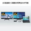 ドッキングステーション（USB Type-C・HDMI×2・LANなし・4K/30Hz・PD100W対応・コンパクト・2画面出力・PD充電・据え置き）