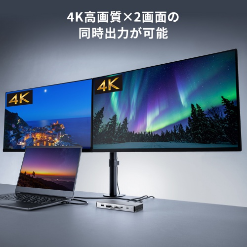 ドッキングステーション（2画面・4K・10-in-1・USB-C接続・PD100W充電・HDMI×2・USB-A×5・USB-C×2・据え置き型・シルバー）