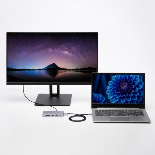 ドッキングステーション（Type-C・10-in-1・HDMI・1画面・4K/60Hz・PD急速充電・SDカードリーダー・LAN・MACアドレスパススルー・コンパクト・ケーブル着脱式）