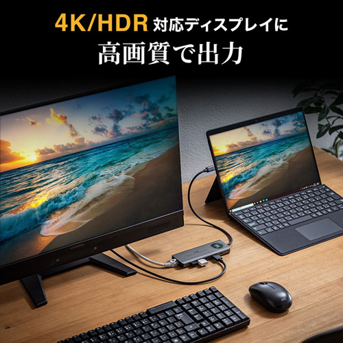 ドッキングステーション（タイプCハブ・USBハブ・Type-C・USB3.2 Gen2対応・HDR対応・PD対応・セルフパワー・バスパワー・シルバー） USB-DKM1 サンワサプライ