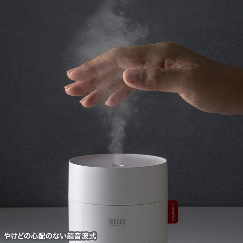 加湿器（卓上・乾燥対策・感染症対策・インフルエンザ対策・超音波式・大容量・バッテリー式・USB給電・タイプC・静音・小型・LEDライト・オフィス・デスク・車載・寝室・ホワイト）USB-TOY102W