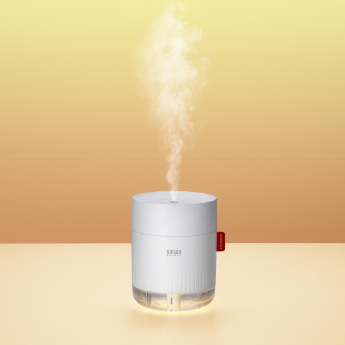 加湿器（卓上・乾燥対策・感染症対策・インフルエンザ対策・超音波式・大容量・バッテリー式・USB給電・タイプC・静音・小型・LEDライト・オフィス・デスク・車載・寝室・ホワイト）USB-TOY102W