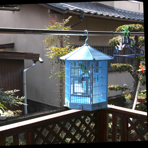 小型鳥用鳥かごセット（バードケージ・日差し防止カーテン付き）