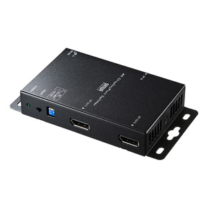 VGA-DPSP2_MA.JPG